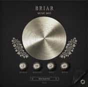 BRIAR Music Box