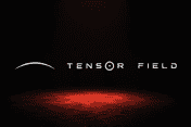 Tensor Field