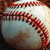 Baseball Crowd SFX Vol 1