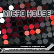 Micro House