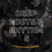 Deep Roots & Rhythm Vol. 5