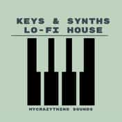 Keys & Synth Lo-Fi House