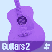 Muse Guitars Vol. 2
