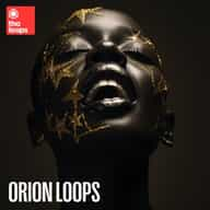 Orion Loops