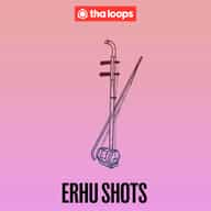 Erhu Shots