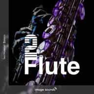 Flute 2