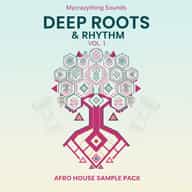 Deep Roots & Rhythm Vol. 1
