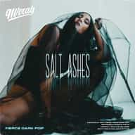 Salt Ashes: Fierce Dark Pop