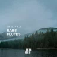 Rare Flutes