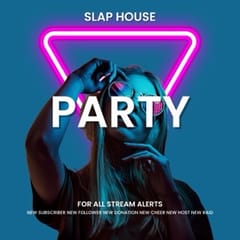 Party Slap House Alert Sounds