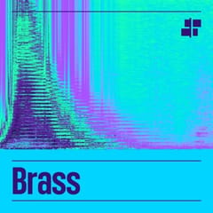 Muse Brass