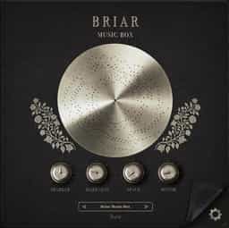 BRIAR Music Box