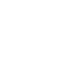 Photism