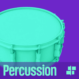 Muse Percussion
