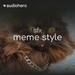 Meme Style SFX