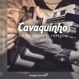 Cavaquinho