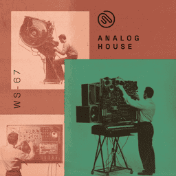 Analog House