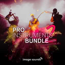 Pro Instruments Bundle Ess. 2