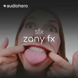 Zany FX