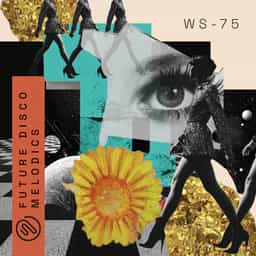 Future Disco Melodics