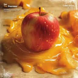 Premiere Sound Effects CD 39