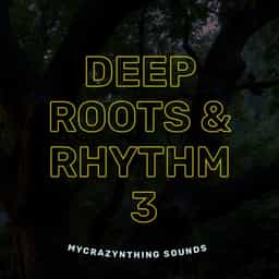 Deep Roots & Rhythm Vol. 3