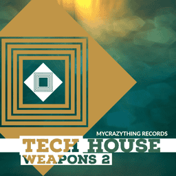Tech House Weapons vol.2