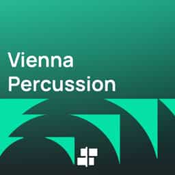 Vienna Percussion