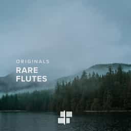 Rare Flutes