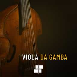 Viola Da Gamba