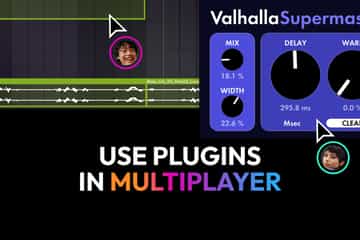 Use plugins in multiplayer