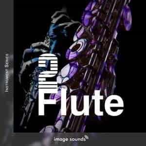 Flute 2