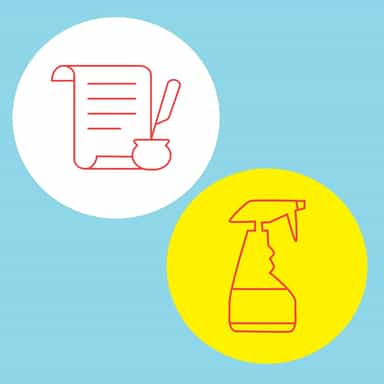Soap Voice Clean & Capture Bundle