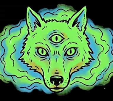 HOWL