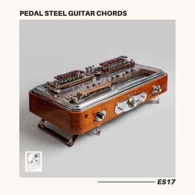 Pedal Steel Guitar Chords