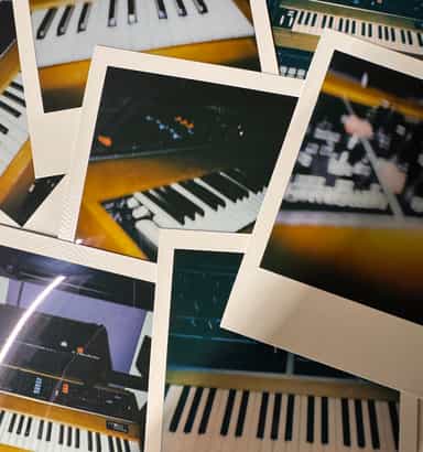 Moog Bass Hits