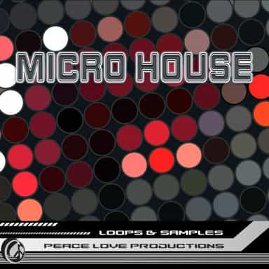 Micro House