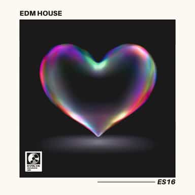 EDM House