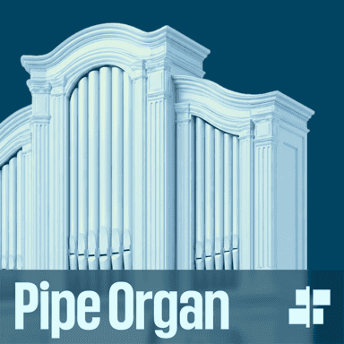 Muse Pipe Organ