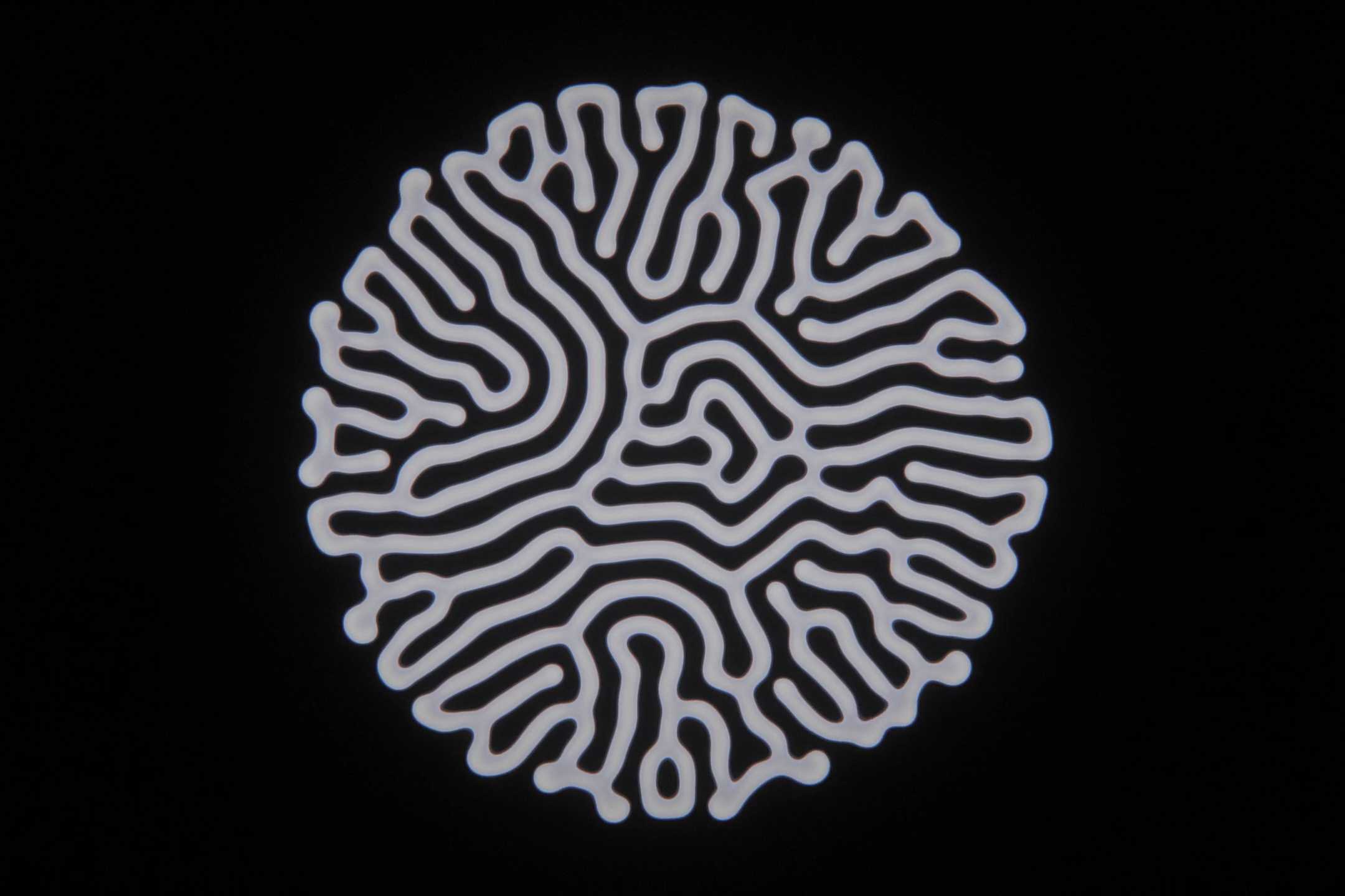 Morphogen