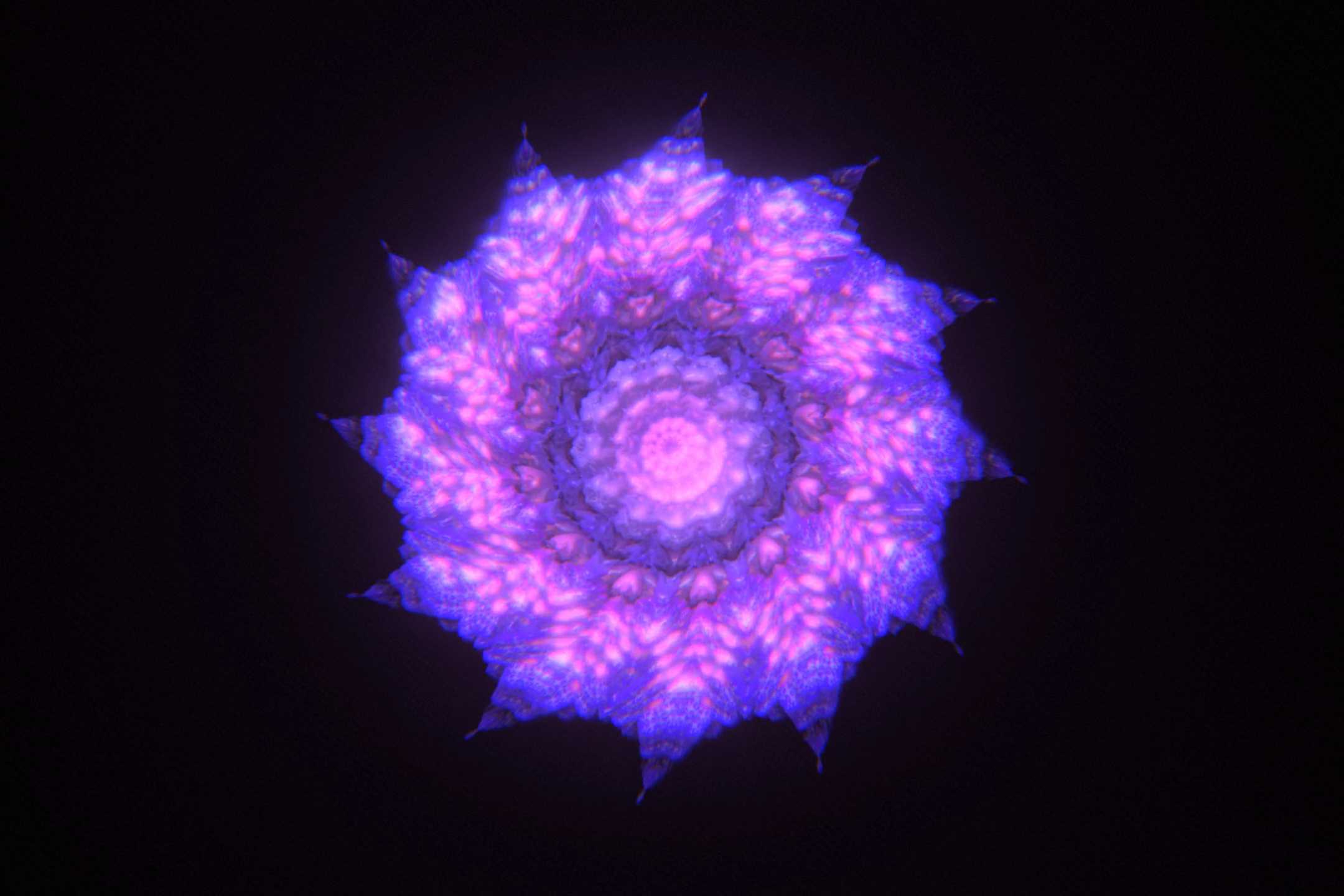Idol