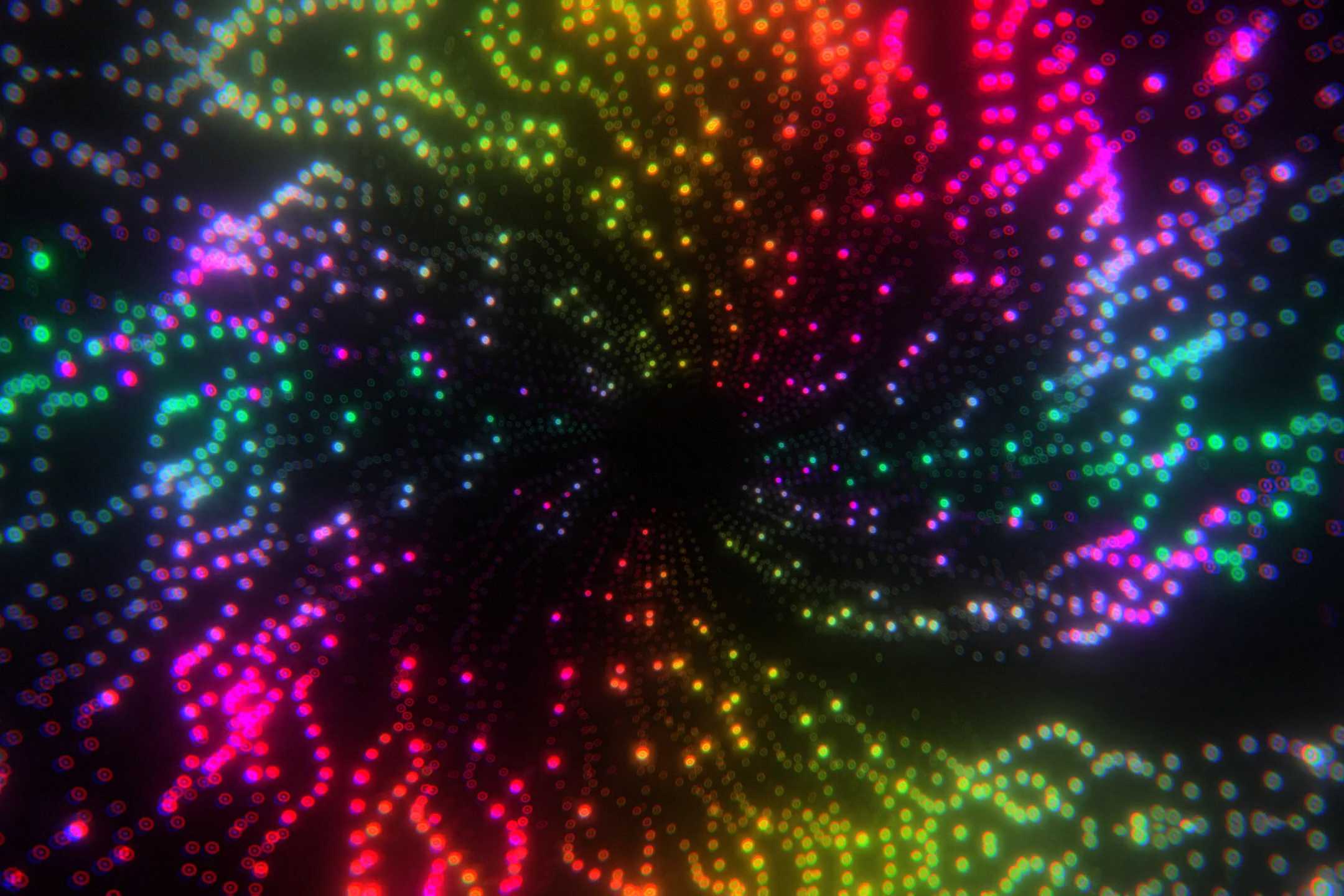 Anemone