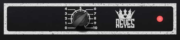 Reyes 303 interface