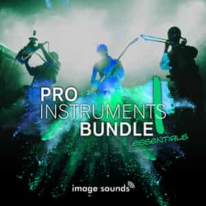 Pro Instruments Bundle Ess. 1: samples, sound and loops download | MuseHub