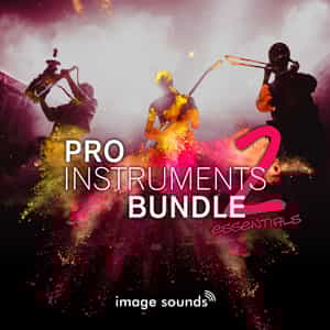 Pro Instruments Bundle Ess. 2: samples, sound and loops download | MuseHub