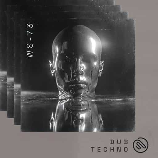 Dub Techno Samples Sound And Loops Download Musehub