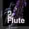 Flute 2