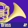 Muse Brass