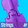 Muse Strings