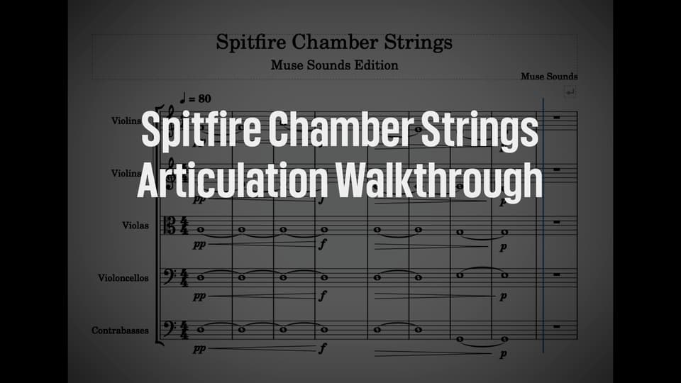 廃盤Chamber Music for StringOrchestra楽譜セット f613a720-d422-4014-bb4c-